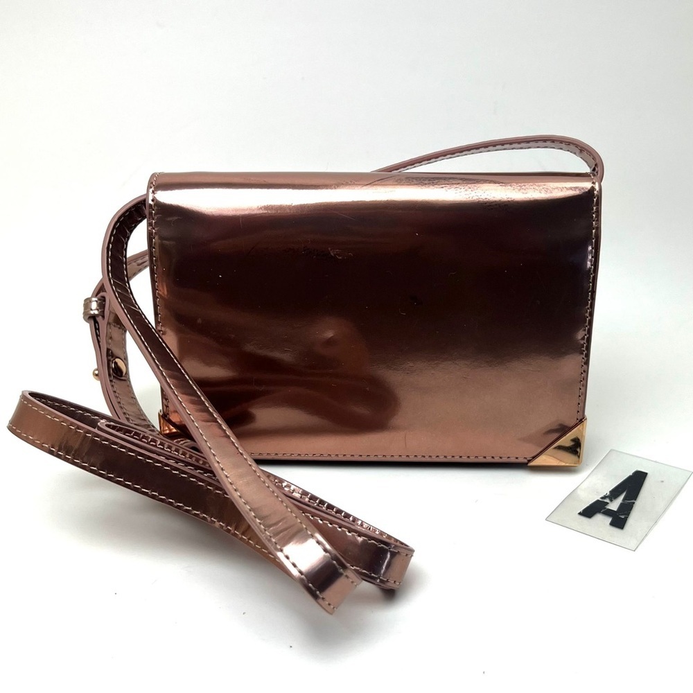 ALEXANDER WANG Prisma Biker Metallic wallet on a strap